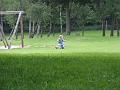 Imme 31 mei 2008 (4)